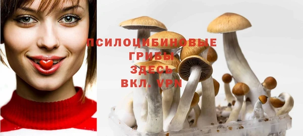 герыч Алзамай