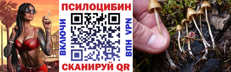 магазин    Болотное  Галлюциногенные грибы мухоморы 